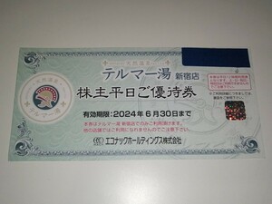 エコナックホールディングス 株主優待 テルマー湯 新宿店 株主平日ご優待券 1枚 天然温泉（送料63円～）