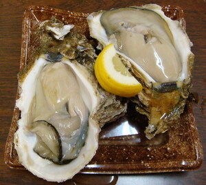 奥伊勢産　天然岩牡蠣（岩かき）大　生食可　15個入りセット