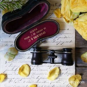 【100年前のオペラ座通りから】フランス アンティーク オペラグラス 小型 双眼鏡 ケース付 ◆Antique Opera Glasses Spalding & Co PARIS