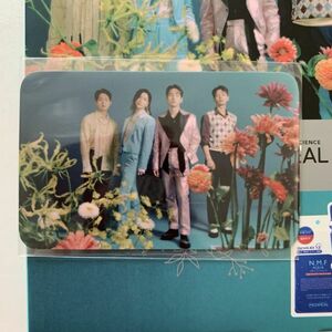 SHINee MEDIHEAL メディヒール N.M.Fアクアアンプル 封入トレカ 全員 集合