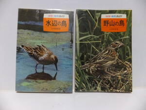 カラー自然ガイド　「水辺の鳥」「野山の鳥」　２冊セット