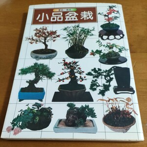 家庭園芸小品盆栽　阿部仁・梶山富蔵著　定価1,400円