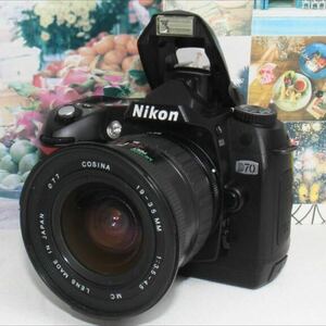 新品カメラバッグ付きNikon D70希少な超広角レンズセット