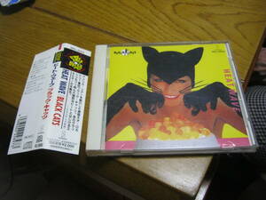 BLACK CATS ブラックキャッツ / HEAT WAVE 帯付CD CREAM SODA クリームソーダ 森永博志 PINK DRAGON RODEO MAGIC BLUE ANGEL