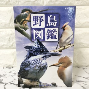 【DVD】野鳥図鑑 DVD-BOX