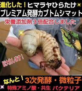 進化した！特選プレミアム3次発酵カブトムシマット【80L】微粒子☆特殊アミノ酸など栄養添加剤を３倍配合した究極のプロ仕様☆産卵にも抜群