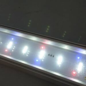 ◇ GEX CLEAR LED POWERⅢ 900 LEDライト 長さ：90cm カラー：赤・青・白 ジェックス 現状品 ◇ K91902