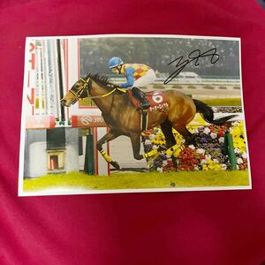 競馬 菱田裕二　騎手　直筆サイン入りA4写真 テーオーロイヤル　阪神大賞典2024 天皇賞春2024優勝　タイトルホルダー　フィエールマン