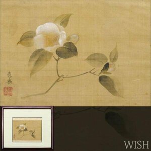 【模写】【WISH】円山應挙 日本画 絹本 白椿花 　　〇円山派の祖 江戸中期の画家 国宝に『雪松図屏風』 #24033555