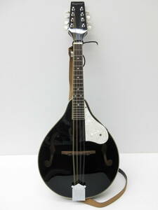 3160 楽器祭 tanglewood mandolin タングルウッド マンドリン black ブラック 黒 中古品 ハードケース付 ストラップ付 小物付 