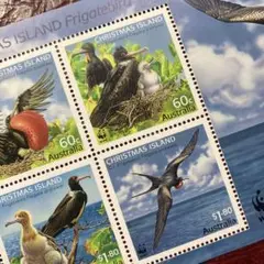 52060セール現品限り　外国切手未使用　クリスマス諸島発行鳥小型シート
