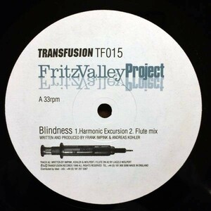 即決 Fritz Valley Project / Blindness 12inch