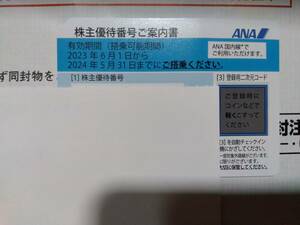 【送料無料】ANA株主優待券１枚　2024年5月31日搭乗まで有効