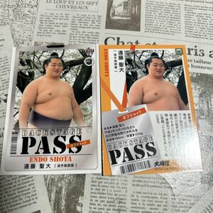 2019BBM 88 遠藤聖大　相撲カードオフショット