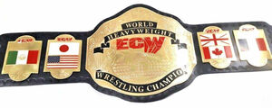 海外　限定品　送料込み プロレス　World Heavyweight wrestling Championship チャンピオン 優勝　ベルト　高品質　レプリカ 5