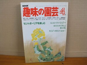 NHK 趣味の園芸 昭和56年4月 セントポーリアを楽しむ