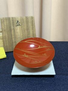 朱塗 盃 古品 漆器 波絵 金蒔絵 蕨波 洗朱 慶賀 縁起物 正月 新年 美品 共箱 黄布 花押 懐石道具 わらび波 うるし 酒器 景物 室礼