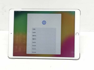 Apple A2133 iPad mini5 アクティベーションロック Cellularモデル■ジャンク品