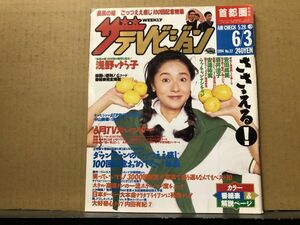 ザ・テレビジョン 1994年6/3・22号 勝慎太郎・浅野ゆう子・安田成美・ダウンタウン・ウンナン・酒井法子・長男の嫁・ごっつええ感じ