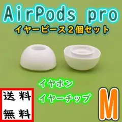 Airpods pro イヤーチップ イヤフォン カバー Mサイズ イヤーピース