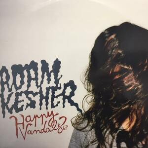 ADAM KESHER / HAPPY VANDALS