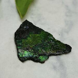 【E8719】 アンモライト アンモナイト 化石 カナダ産 虹色 レインボー パワーストーン