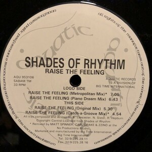 Shades Of Rhythm / Raise The Feeling