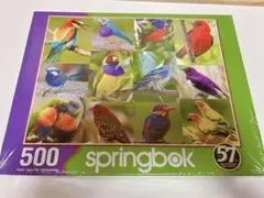 ✨残り一点✨ ジグソーパズル500ピース 鳥 野鳥 自然パズル 大人 子ども