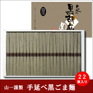 島原手延べそうめん 手延べ黒ごま麺 45g 22束 11人前 めんの山一 山一 送料無料