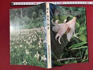 ｚ◆　新潟県　新井・頚南の野草　昭和59年発行　新井・頚南地区理科教育センター　書籍　昭和レトロ　/　N23