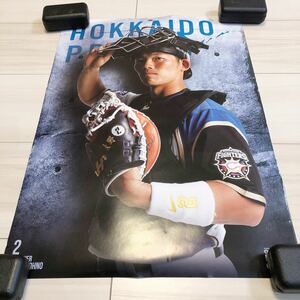 日本ハムファイターズ　ポスター　大野選手