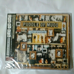 PUDDLE OF MUDD/LIFE ON DISPLAY 国内盤 初回限定盤DVD付き 新品