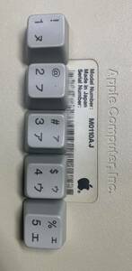 Apple Keyboard M0110AJ キートップ　5個セット　#1