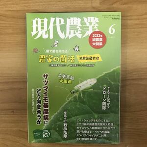 現代農業　さつまいも基腐病にどう向き合うか　2022年6月