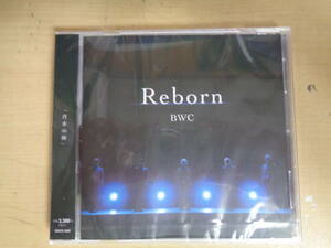 美品 未開封品 CD「Reborn」 ＢＷＣ（バックウォーターキャンプ） J-POP K-maru, Kousei, YOHE, piro, Ogusuの5人組ダンスボーカルグループ