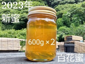 【非加熱・純粋はちみつ】山の花々からとれた濃厚な甘さの百花蜜600g×2本 1200g 生はちみつ 国産蜂蜜 天然 完熟