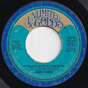 Barry White Any Fool Could See Unlimited Gold US ZS8 1401 203144 SOUL DISCO ソウル ディスコ レコード 7インチ 45