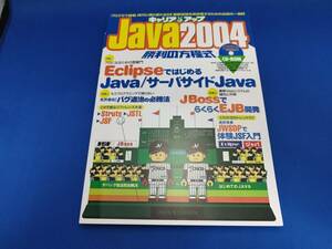 【美品】 技術評論社 キャリアアップ Java2004 勝利の方程式