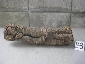 コルク樹皮　　筒型　(4０cm)　　B-③　　　洋ラン 野生ラン エアープランツ コウモリラン 着生植物 古典植物