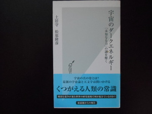 宇宙のダークエネルギー　未知なる力の謎を解く　土居守　松原隆彦　光文社新書539