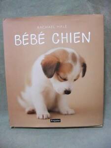 洋書★Bb chien / 犬の赤ちゃん(フランス語) 写真集 rachael hale
