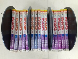 C10】ライジング！ 開幕 全巻 15巻セット 氷室冴子 藤田和子　フラワーコミックス　小学館 漫画、コミック 初版発行あり　現状 