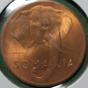 (C-539) ソマリア　５センチミ銅貨　1950年　象