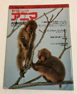 『野生からの声 アニマ』1973年 NO,9　ANIMA12　野生動物　ニホンザル　エゾシカ　雑誌　今西錦司／中西悟堂