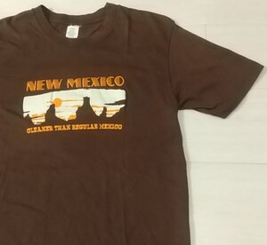 古着/Tシャツ/NEW MEXICO/ニューメキシコ/ネイティヴ・インディアン/米製/Made in USA/アメカジ/オールド/レトロ/クラシック