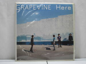 8/1 GRAPEVINE(グレープバイン) Here LPレコード盤 PCJA-00051