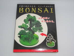 手軽に始められるマジックぼんさい 盆栽 トーシン プライズ