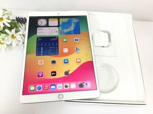 〇SoftBank iPad Air 第3世代 Wi-Fi＋Cellularモデル 64GB A2123(MV0E2J/A) シルバー 〇判定 動作品 ※難あり