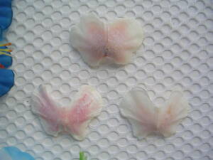 ●海からの贈り物・・・北海道太平洋の大海原の襟裳岬産の一世風靡した懐かしい蝶々貝★チョウチョウ貝（L）3個セット３