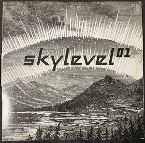 SKYLEVEL / SKYLVEVEL 01 12インチ レコード　Daniel Wang Rahni Harris Six Million Steps b